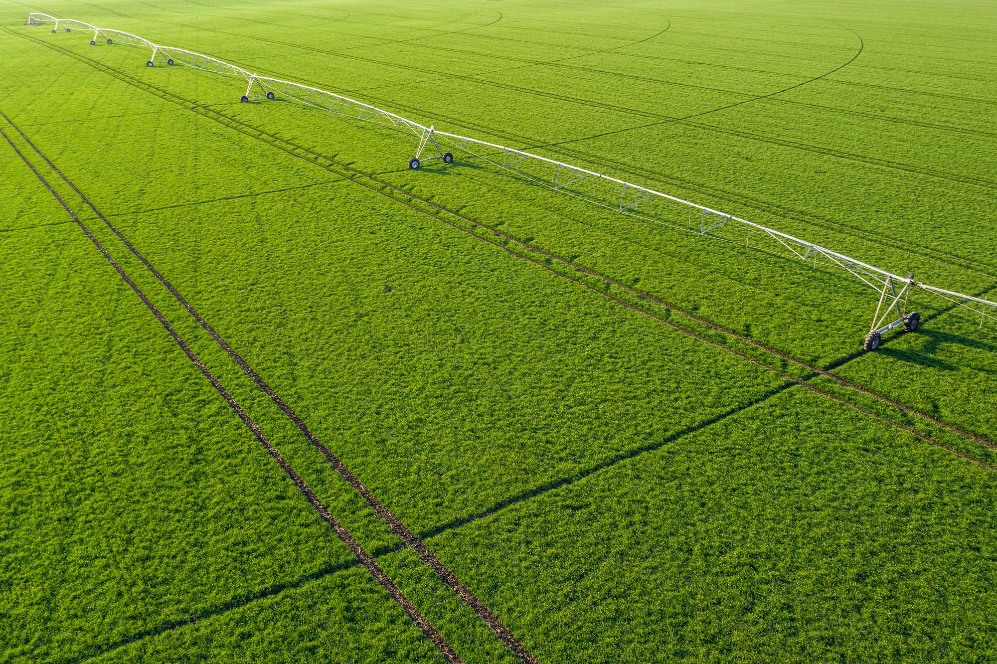 Aerial view of center-pivot irrigation sprinkler in wheat field